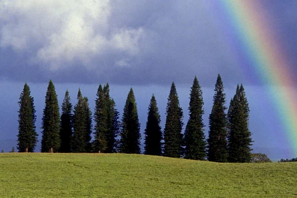 Maui Agriculutral Zoning and Properties